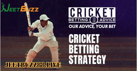 Top IPL Betting Strategies You Must Know-Jeetbuzz168